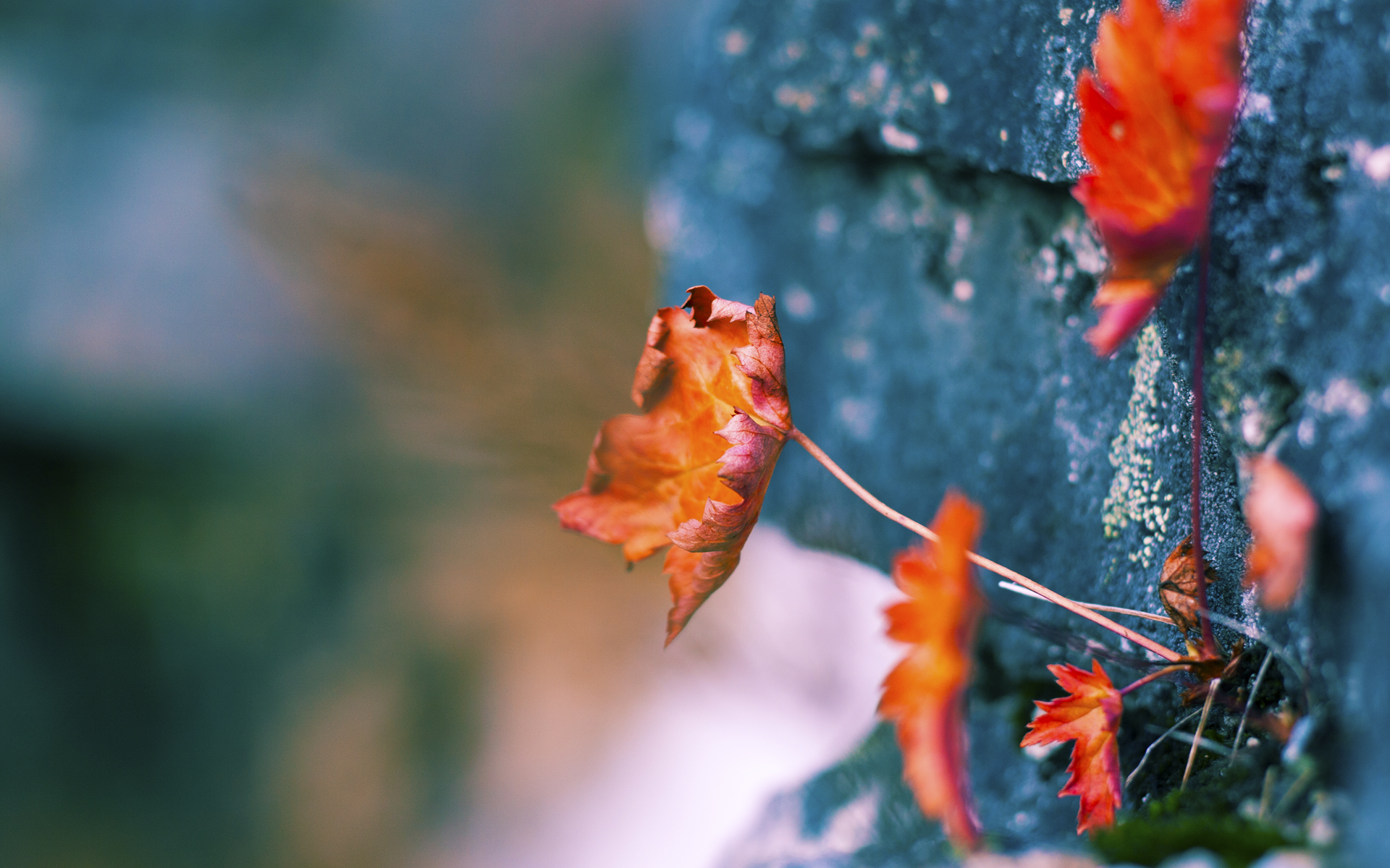 战术碾压！76人完胜灰熊，切特东决关键战化身救世主